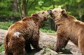 Zoo Straubing_010